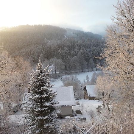 Villa Haus Vor Den Eichen Fuer Familien Willingen  Esterno foto