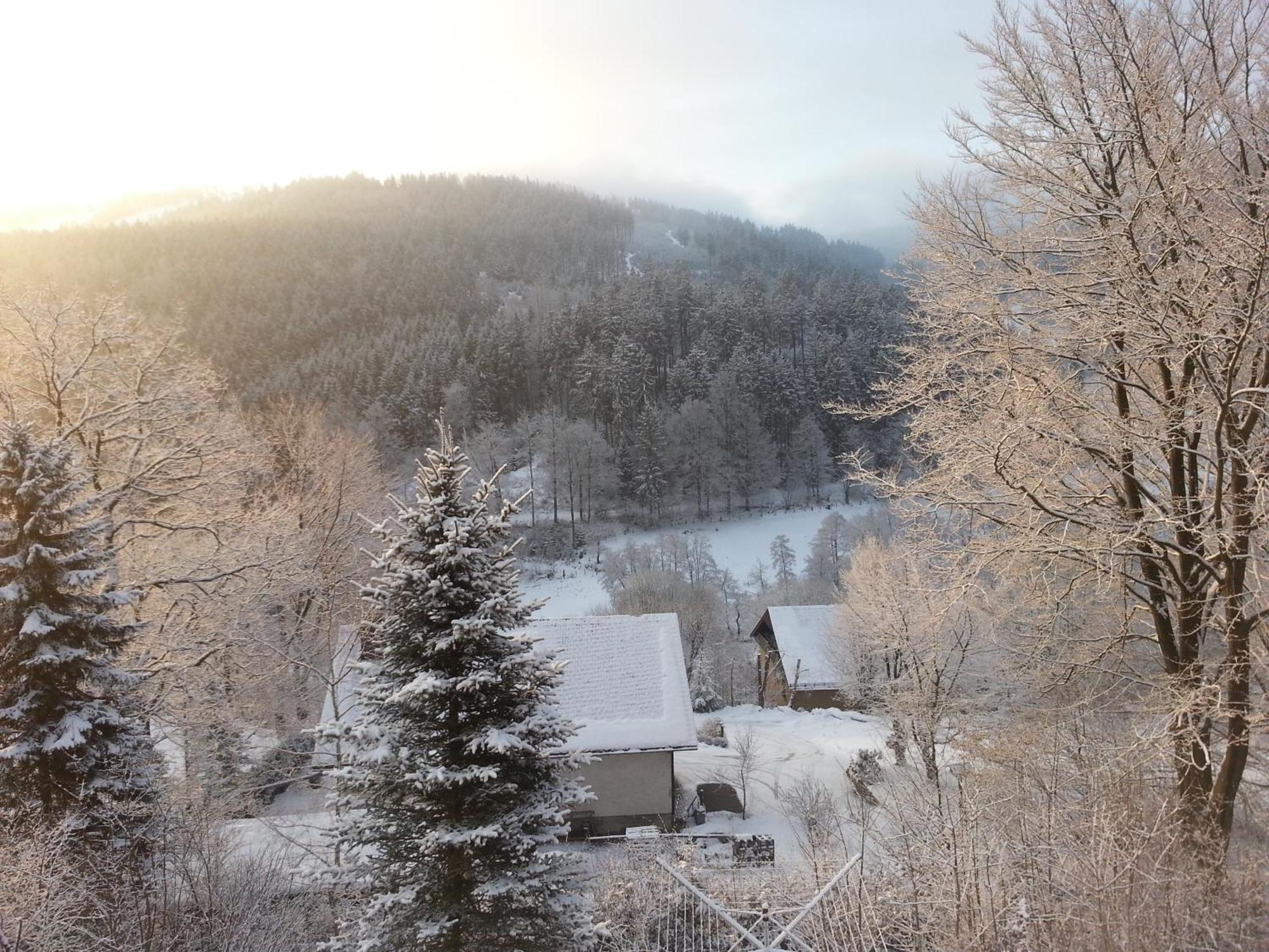 Villa Haus Vor Den Eichen Fuer Familien Willingen  Esterno foto